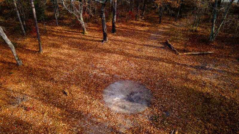 Strange Phenomena Visitors Report