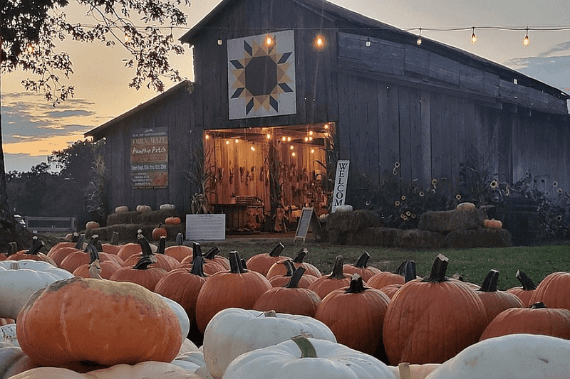 Music, Games, and Fall Fun