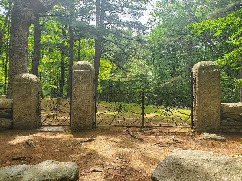 Deep in the Woods Where Shadows Grow Long