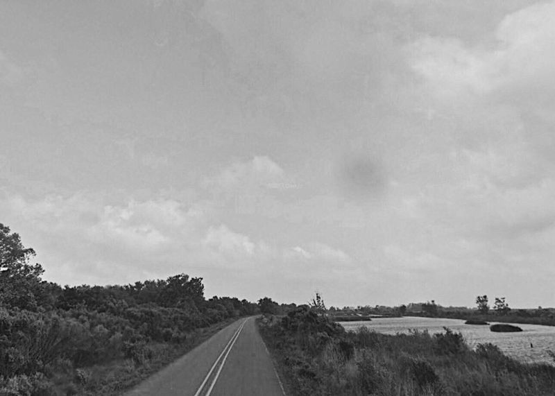 The Legends Locals Whisper About Bayou Sale Road