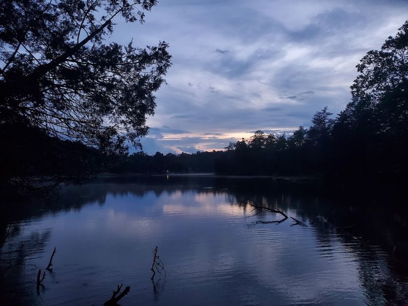 It's a Quiet Reminder of What Was Lost