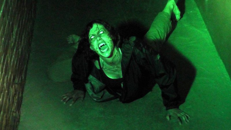 Two Decades of Scaring for a Good Cause