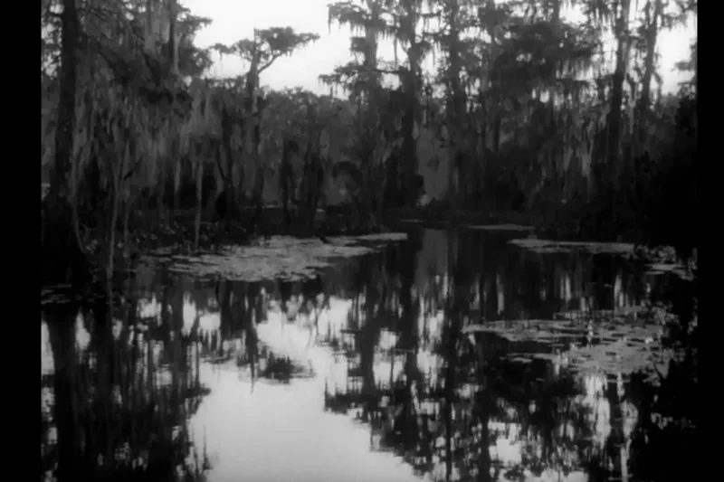 Morgan City: Gateway to Swamp Monsters