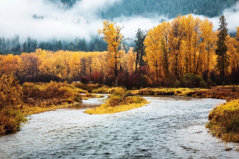 Seasonal Beauty Year-Round