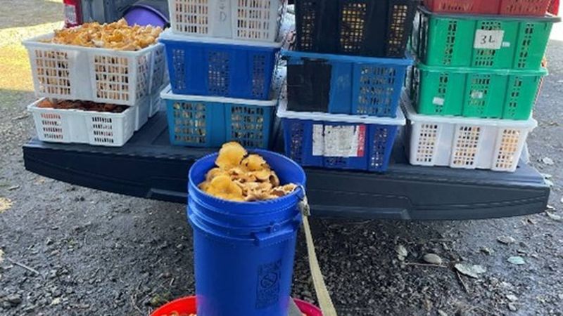 Planning to Sell Your Haul