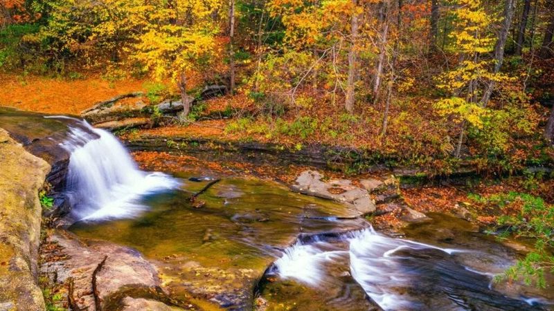 Four Distinct Seasons