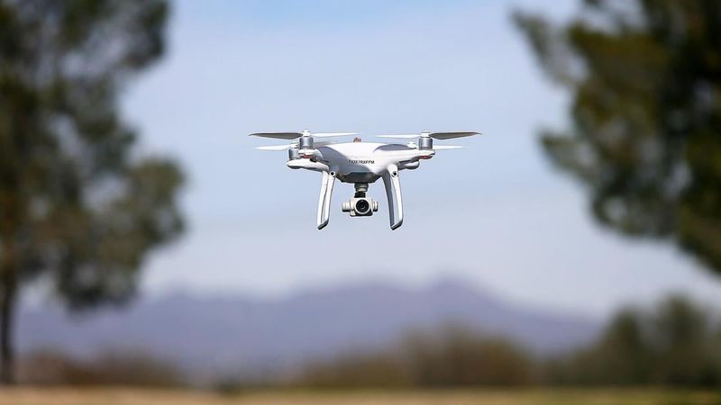 Social Media Fame Outweighs the Fine