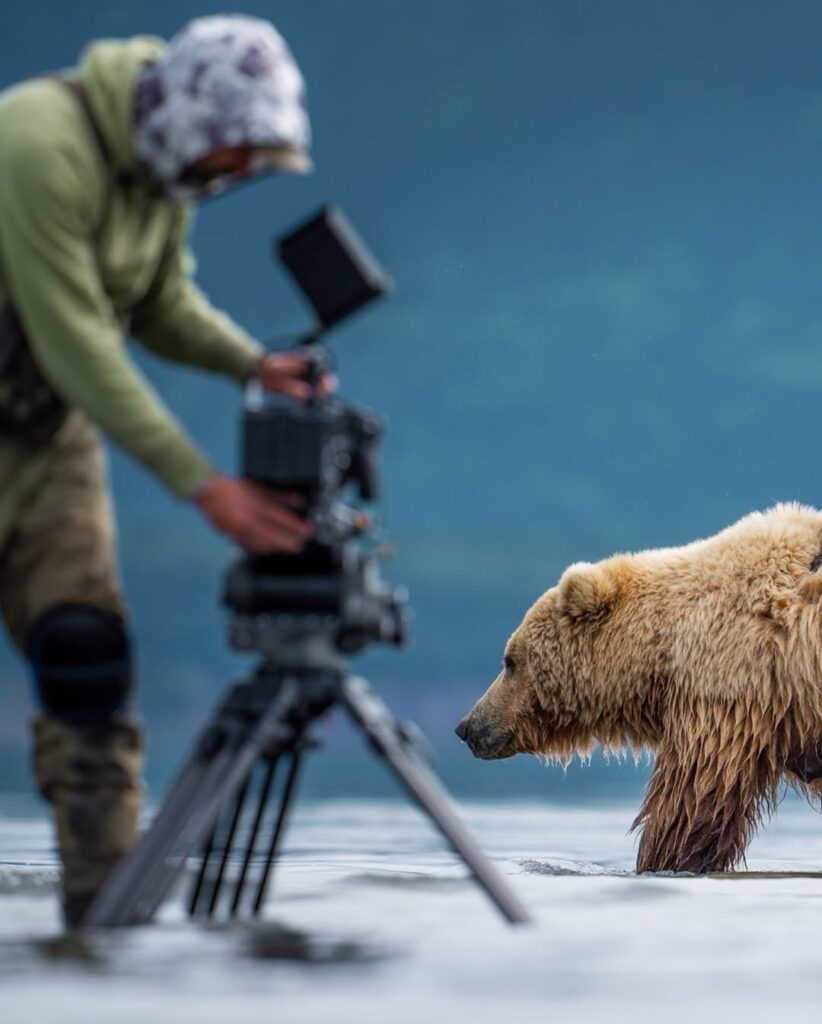 Alaska’s Wild Neighbors