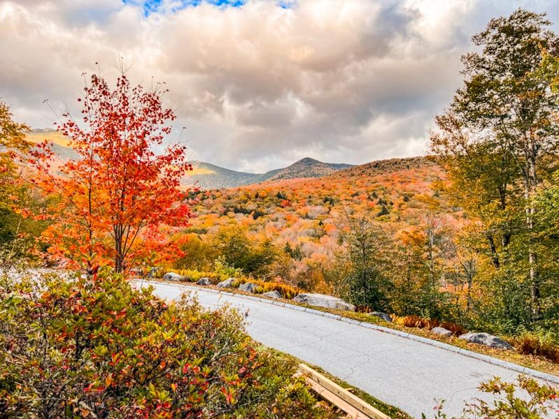 Sawyer River Road and Sawyer River Trail