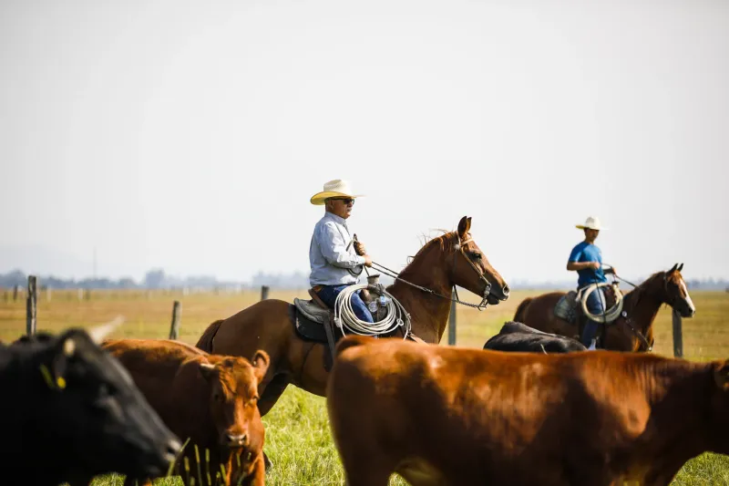 Idaho Food Coop: Grass-Fed Perfection from Hazelton