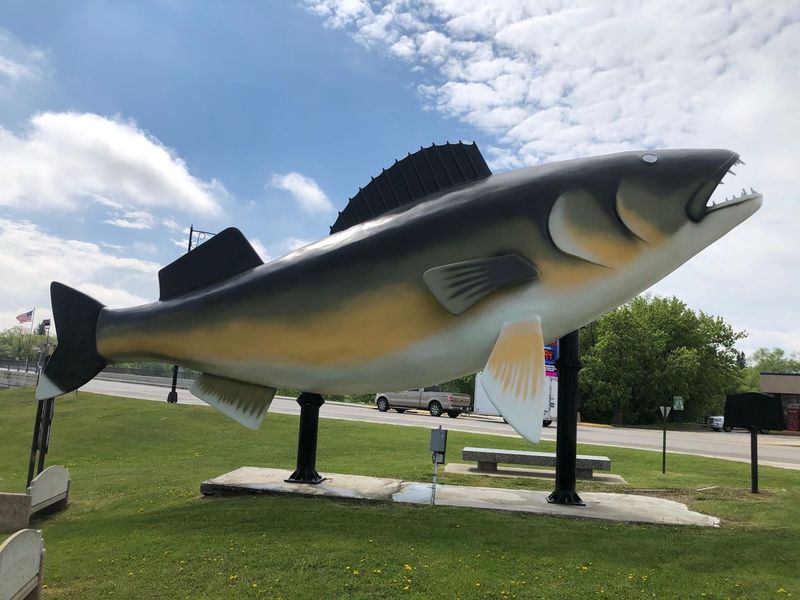 Baudette's Colossal Walleye Wonder