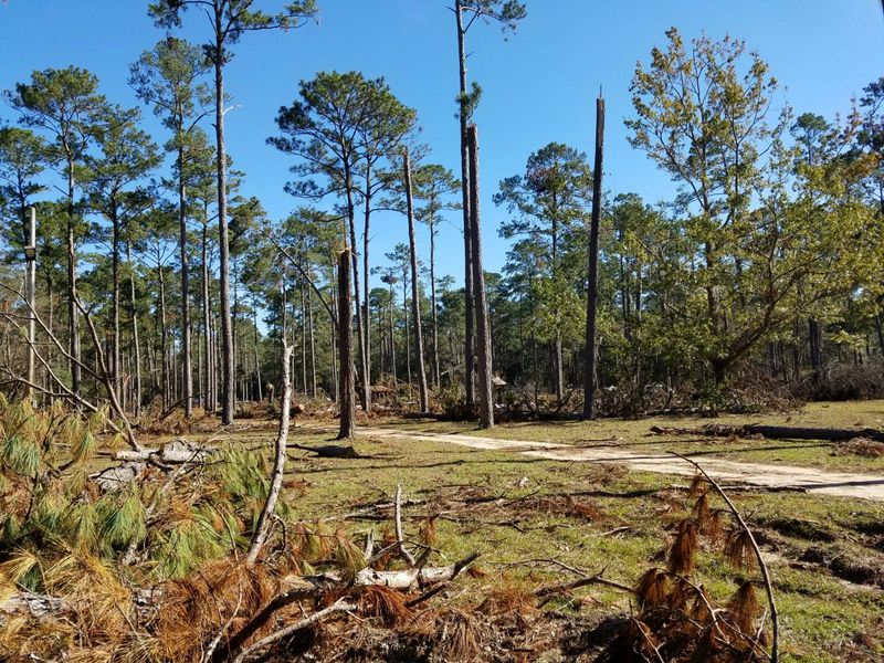 Chehaw Park's Forgotten Wildlife Sanctuary (Albany, GA)