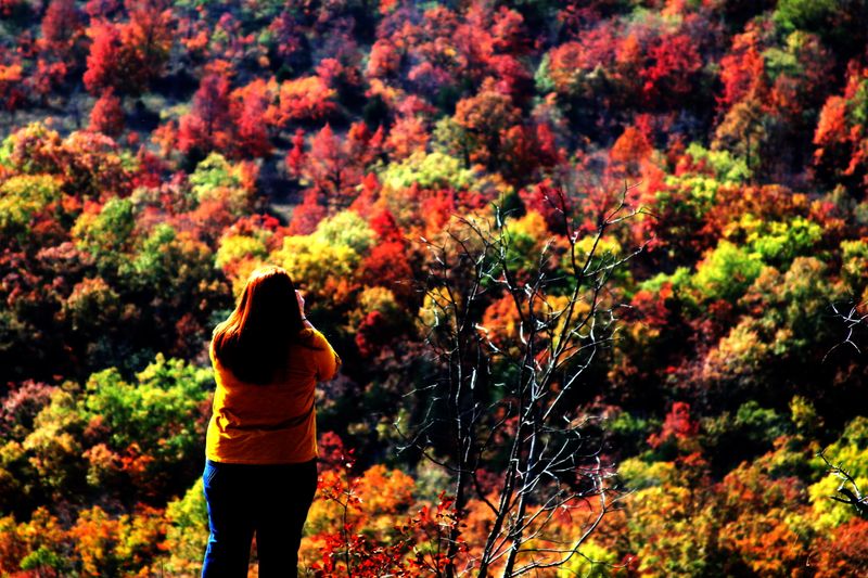 Glade Top National Scenic Byway