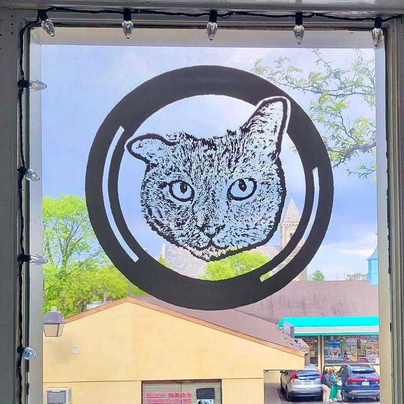 Scrappy Cat (a curiosity shop)