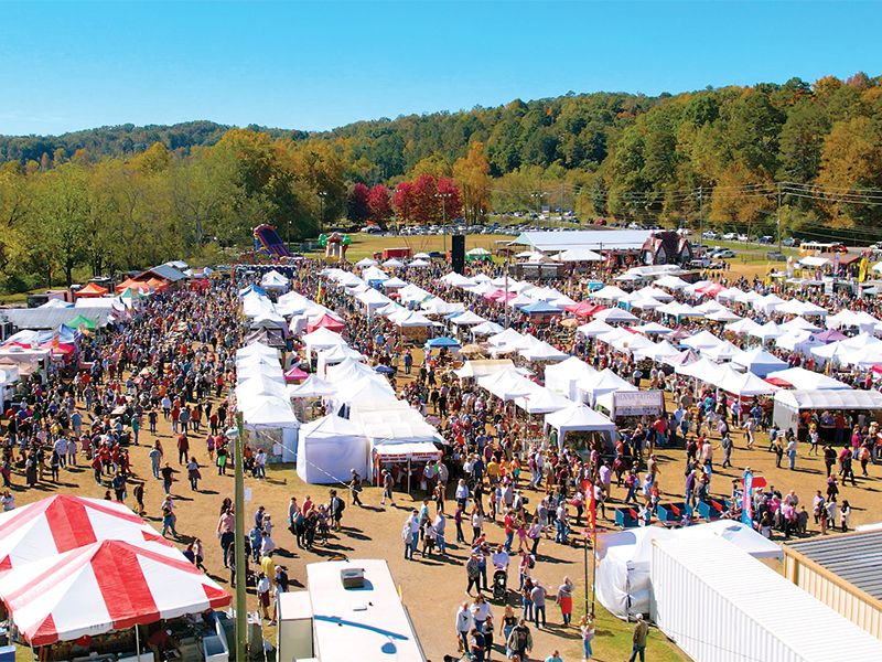 Ellijay During Apple Season
