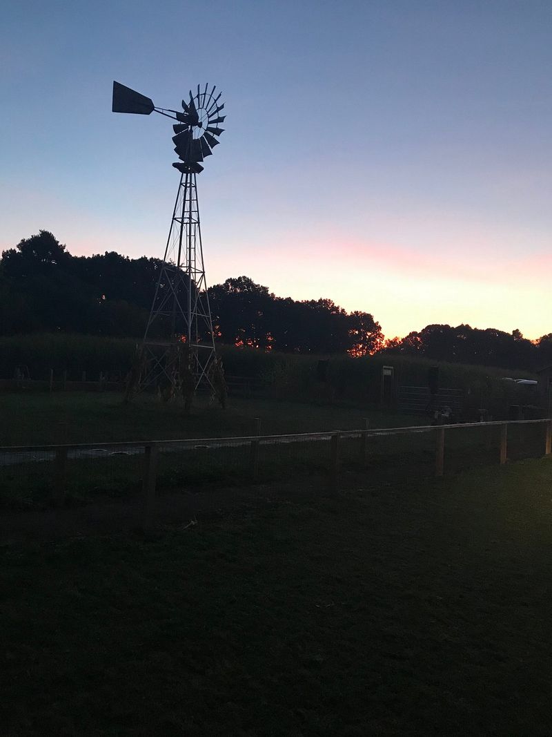 From Daytime Family Fun to Nighttime Frights