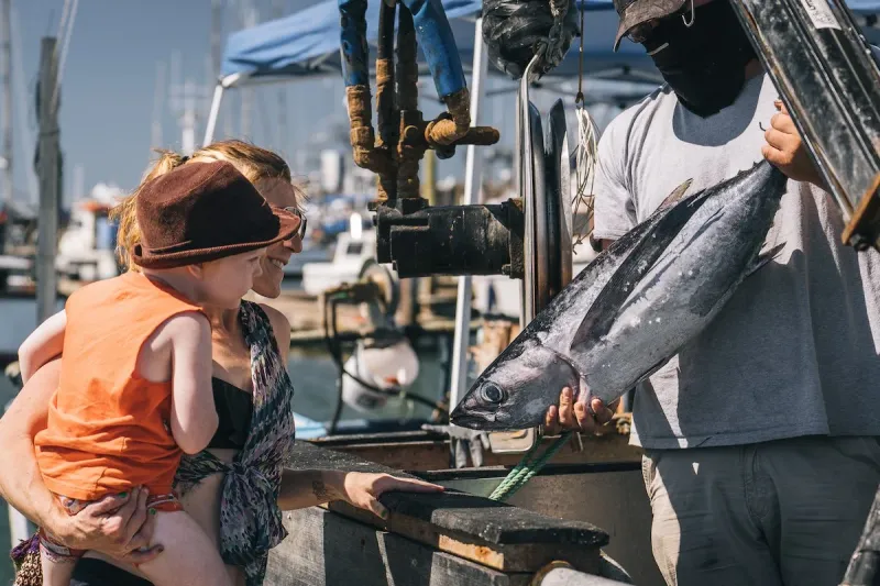 Westport Marina, Fishermen First, Tourists Second
