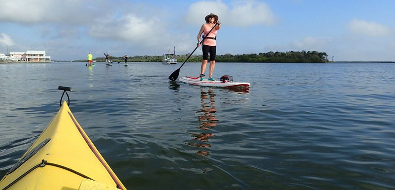 Canaveral National Seashore Mosquito Lagoon Islands