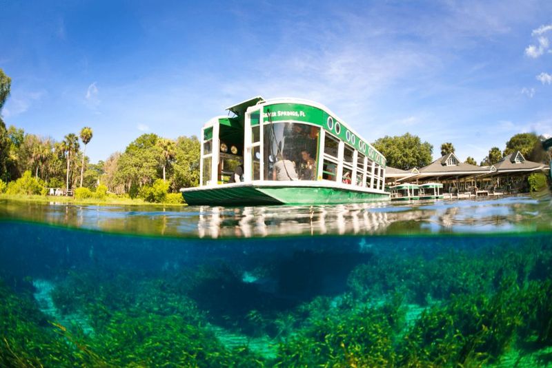 Silver Springs State Park