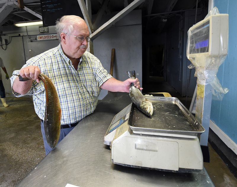 Bon Secour Fisheries (Bon Secour)