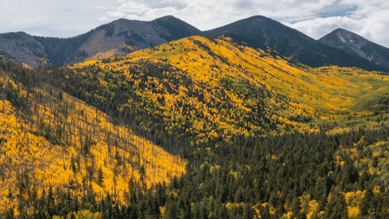 Flagstaff Scenic Drives and Fall Foliage