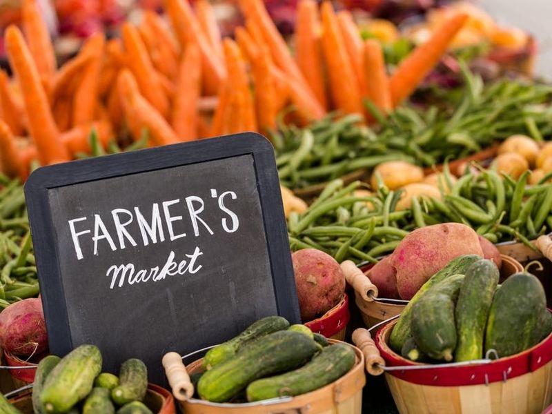 Barnegat Farmers Market – Barnegat
