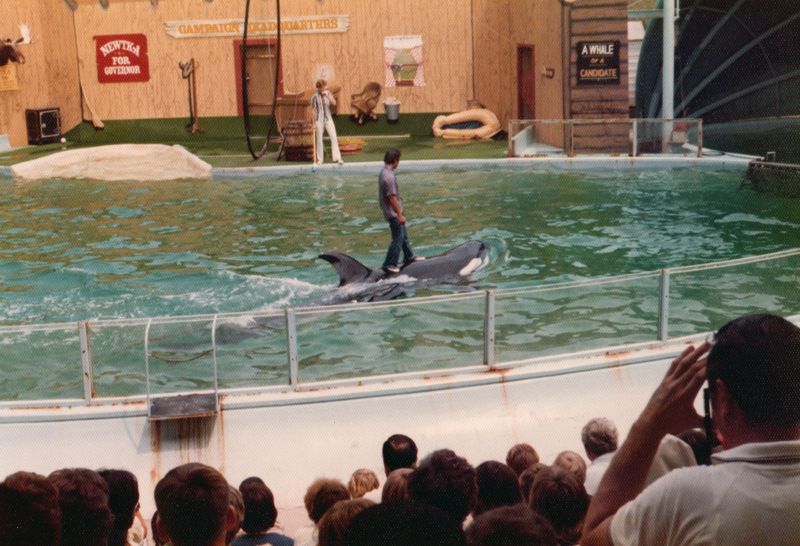 Seven Seas Marine Life Park