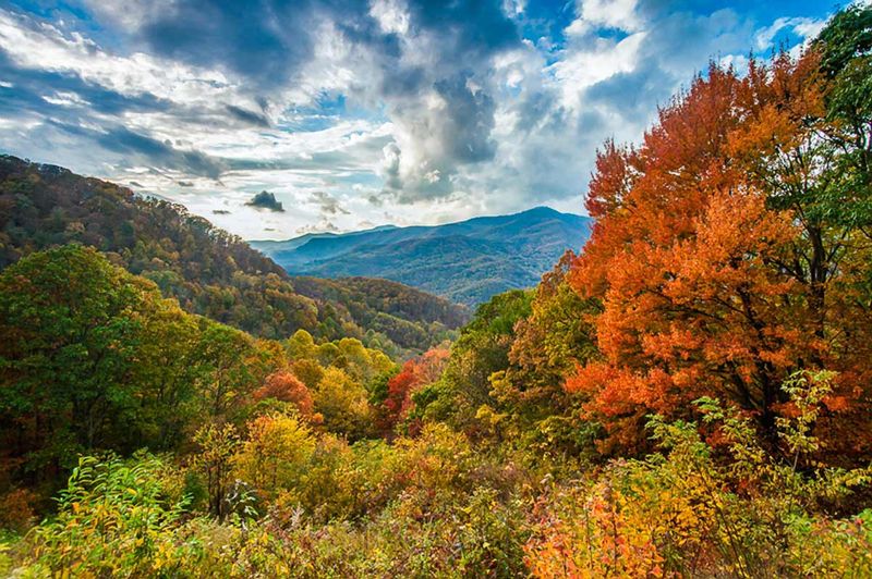 Mountain Escapes in North Georgia