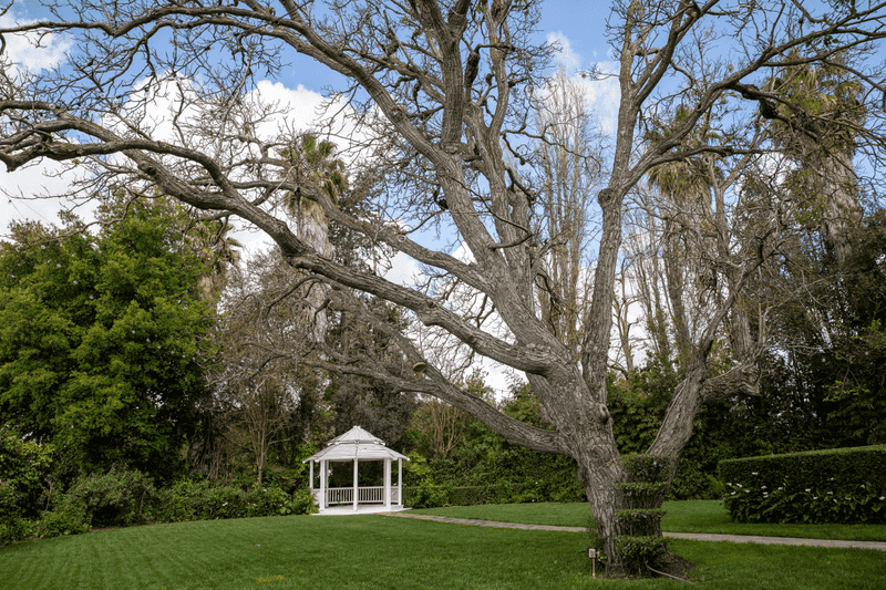 Celebrity History and Famous Guests