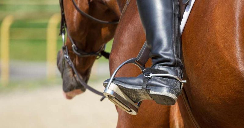 High-Quality Equestrian Gear