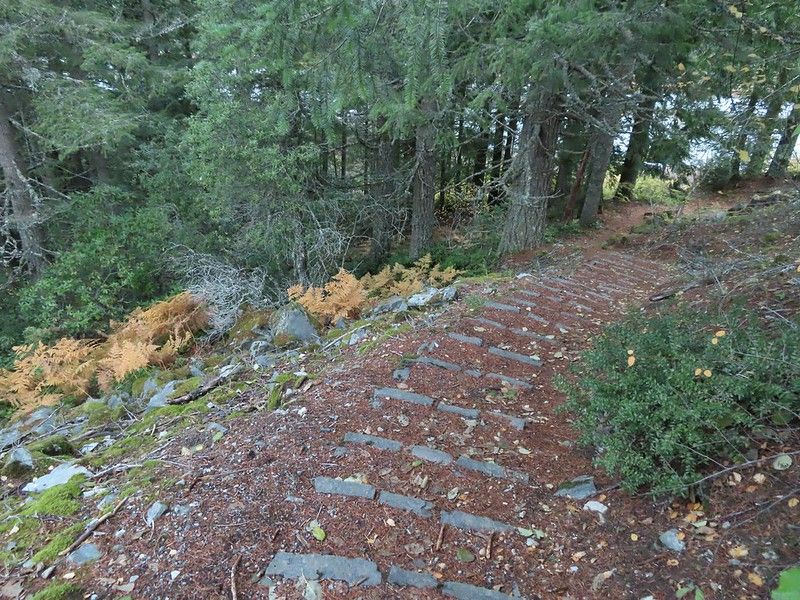 The Harrowing Descent