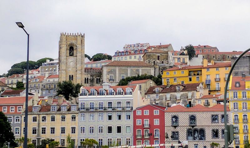 History Without the Homework