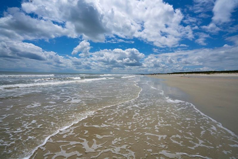 Huntington Beach State Park