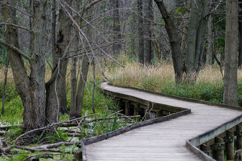 Maumee Bay State Park (Lucas County)