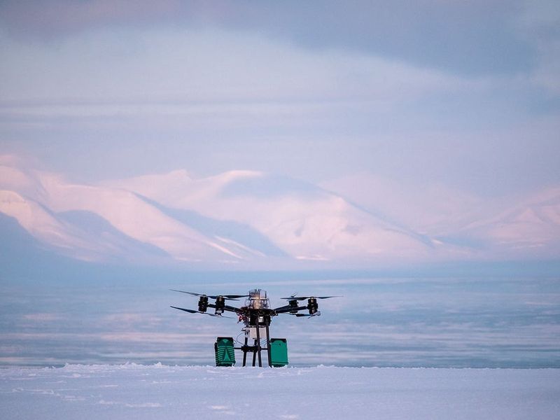 Disrupting Peaceful Landscapes