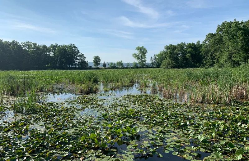 Kensington Metropark
