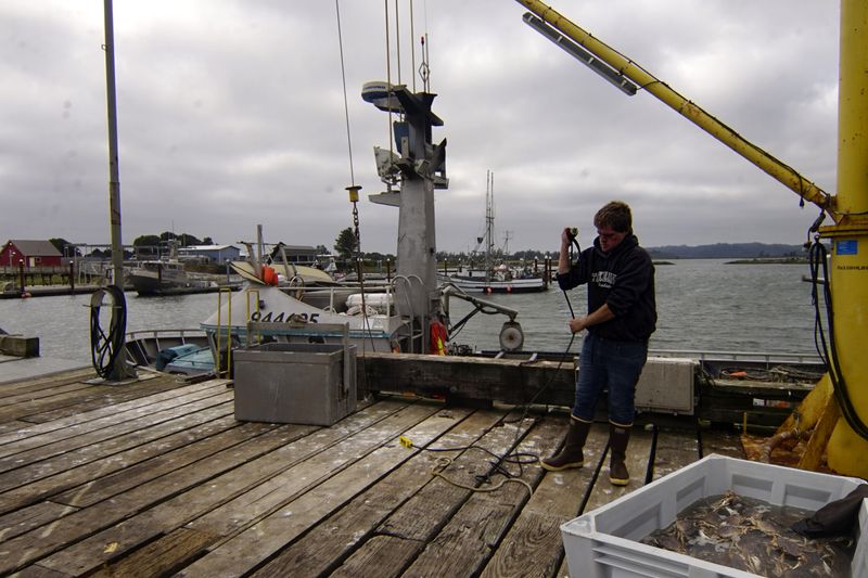 Tokeland Marina Market, The Coast’s Hidden Stop
