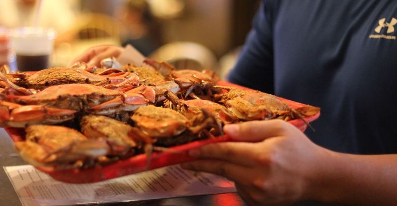 Experience Maryland Seafood Culture Firsthand