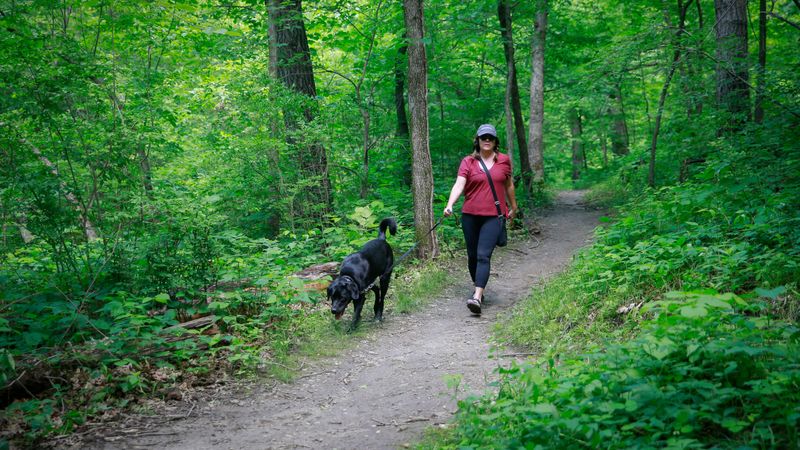 Leash Laws in Park Paradise