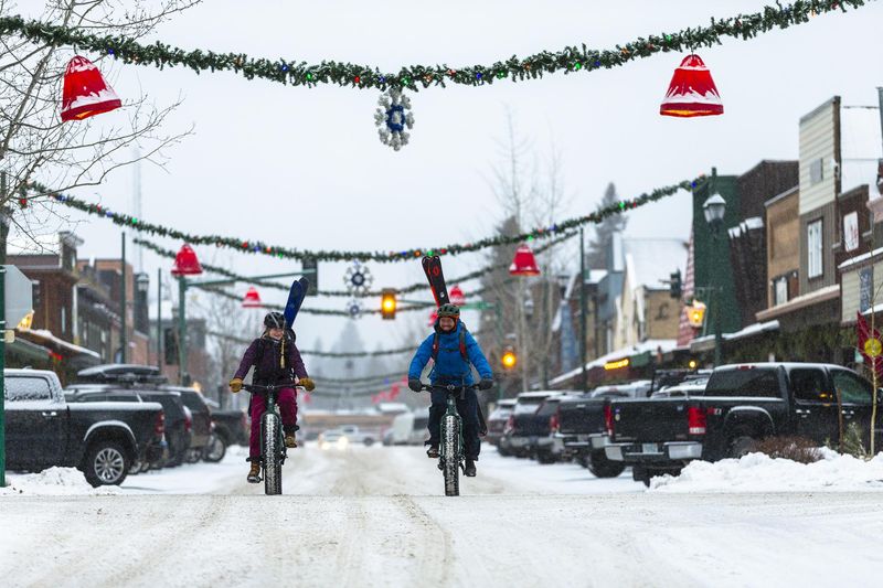 Whitefish