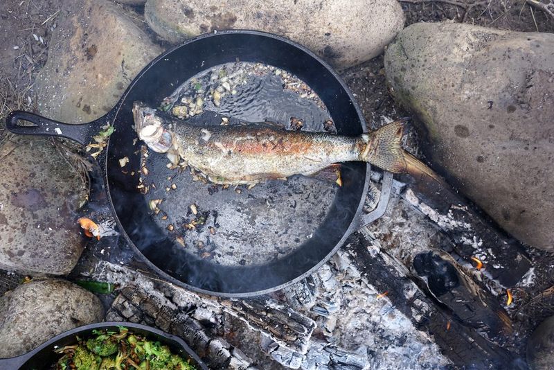 Trout From Montana Rivers: Fresh and Flavorful