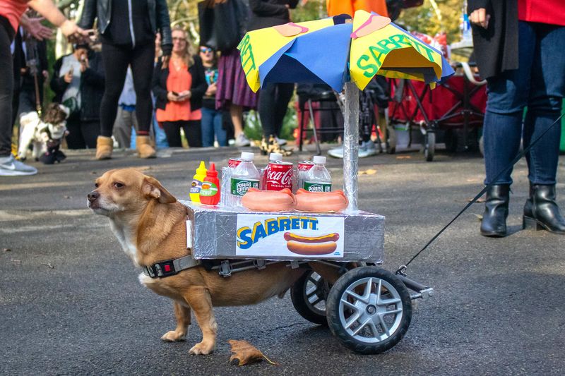 Costumed Dogs Parade