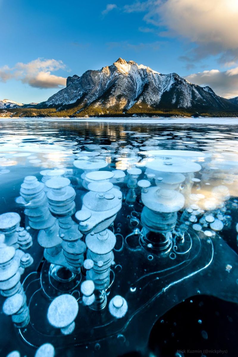 Frozen Bubble Phenomenon: Nature's Captured Moments