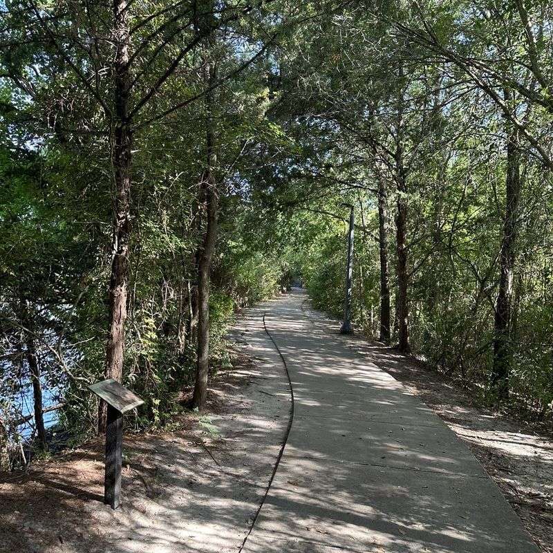McKinney Roughs Nature Park – Where Archaeology Meets Wilderness