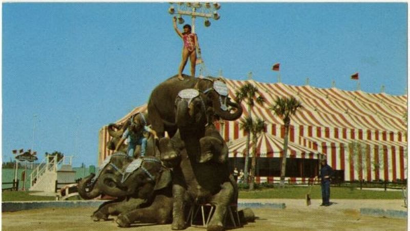 Circus World