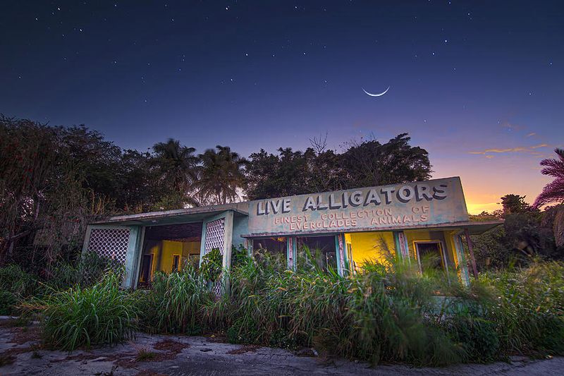 Everglades Gatorland (roadside zoo)