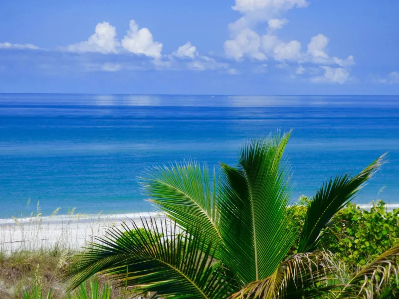 Little Gasparilla Island