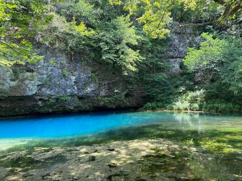 The Blue Spring Natural Wonder