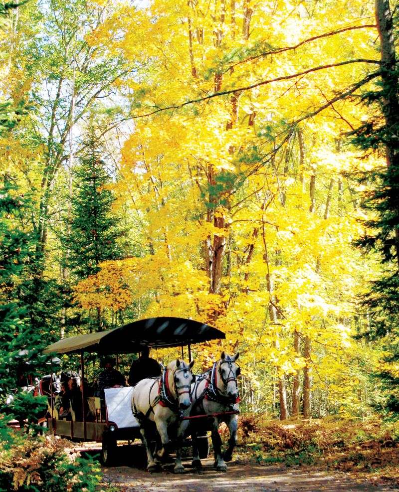 Thunder Bay Resort