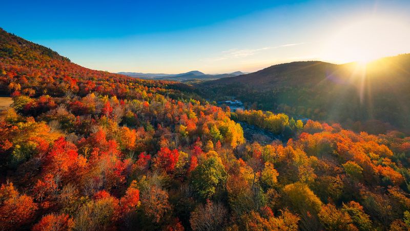 Fall Foliage That Takes Your Breath Away